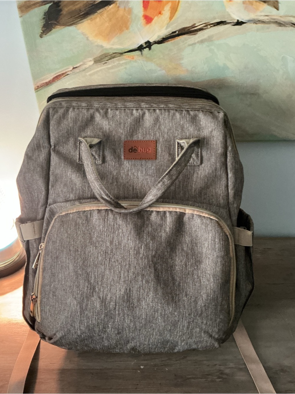 Gray de bug baby backpack with changing very clean inside and out